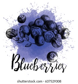 Vector illustration, blueberries in hand-drawn graphics. Forest berry is depicted on a purple watercolor background. Design for packaging blueberry juice, desserts or smoothies