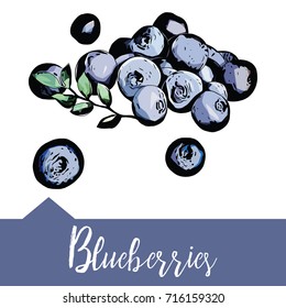 Vector illustration, blueberries in hand-drawn graphics. Forest berry is depicted on a blue watercolor background. Design for packaging blueberry juice, desserts or smoothies.