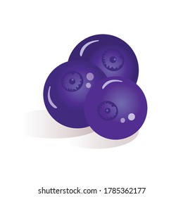 Ilustración vectorial de arándanos azules sobre un fondo blanco. Blueberries para etiquetas, logotipo, menús y sitio web, publicidad, iconos para imprimir en tela. El concepto de comida vegana saludable.