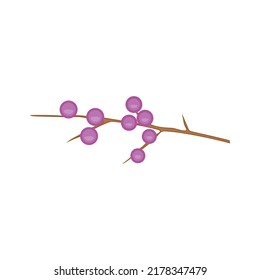 Vector illustration of a blueberry branch on a white background.