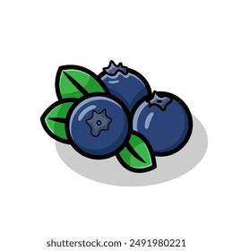 Ilustración vectorial de la fruta de arándano sobre fondo blanco aislado