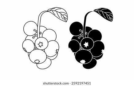 Vector illustration of blueberry fruit in outline and silhouette style. Perfect for food, botanical, organic, nature, and agriculture-themed designs.