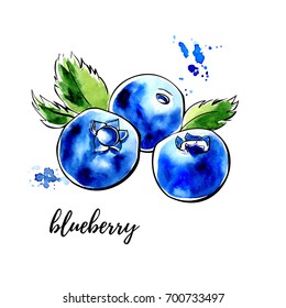 Vector illustration of blueberry. Hand drawn sketch of organic healthy dietary supplement. Black outlines and bright watercolor stains, splashes and drips.