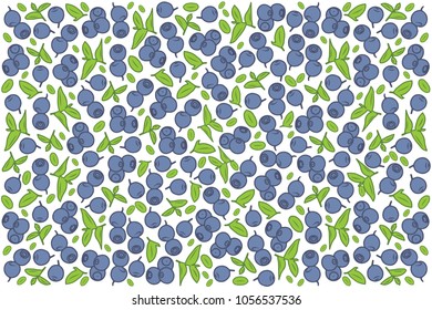 vector illustration of blueberry and leaf design as background white and berry EPS10