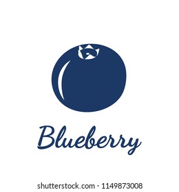 Vector illustration - blueberry on white background.