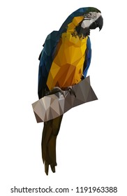 Vector Illustration of Blue-Yellow Macaw in Low Poly Style. Polygon Abstract Colorful Parrot. Geometric Polygonal Parrot's Silhouette
