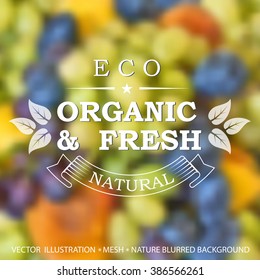 Vector illustration of blurred background for design. Food organic label and eco design. Fresh ripe fruits. Healthy food. Fruits blurred background. Mesh blurred background. Template for poster.