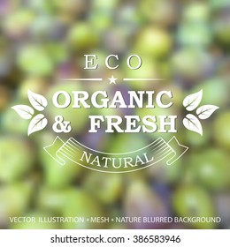 Vector illustration of blurred background for design. Food organic label and Eco design. Fresh ripe dates. Healthy food. Fruits blurred background. Mesh blurred background. Template for poster.
