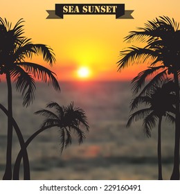 Vector illustration. Blurred photographic background with palm trees and text