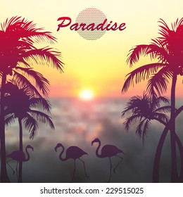 Vector illustration. Blurred photographic background with palm trees, flamingos and text