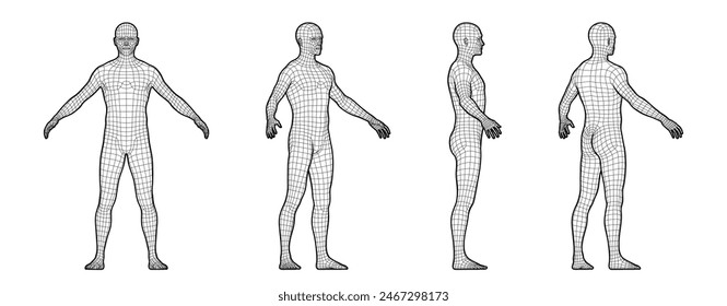 Ilustración vectorial del cuerpo de un hombre de diferentes Perspectivas. Estilo de malla 3D