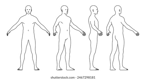 Ilustración vectorial del cuerpo de un hombre de diferentes Perspectivas. Estilo de esquema