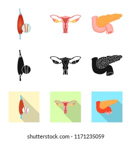 Vector illustration of body and human icon. Set of body and medical vector icon for stock.
