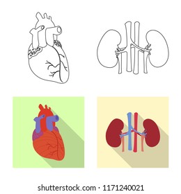 Vector illustration of body and human icon. Collection of body and medical vector icon for stock.