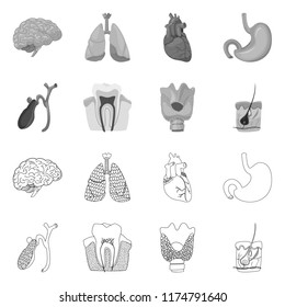 Vector illustration of body and human icon. Collection of body and medical stock vector illustration.