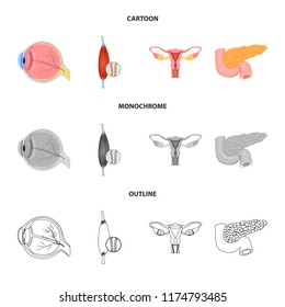 Vector illustration of body and human icon. Collection of body and medical stock vector illustration.
