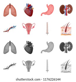 Vector illustration of body and human icon. Collection of body and medical stock vector illustration.