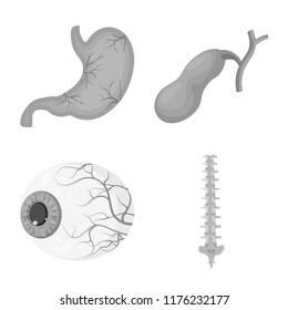 Vector illustration of body and human icon. Set of body and medical stock symbol for web.