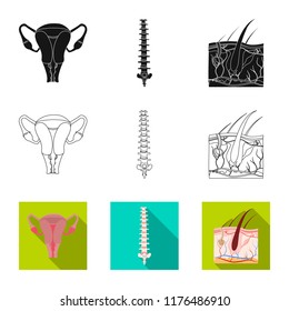 Vector illustration of body and human icon. Set of body and medical stock vector illustration.