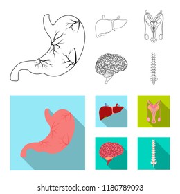 Vector illustration of body and human icon. Collection of body and medical stock vector illustration.