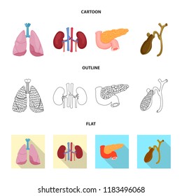 Vector illustration of body and human icon. Set of body and medical vector icon for stock.