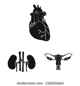 Vector illustration of body and human icon. Collection of body and medical vector icon for stock.