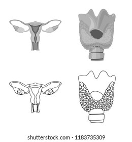 Vector illustration of body and human icon. Set of body and medical vector icon for stock.