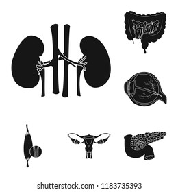 Vector illustration of body and human icon. Set of body and medical vector icon for stock.