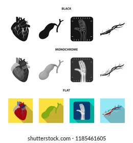 Vector illustration of body and human icon. Collection of body and medical vector icon for stock.
