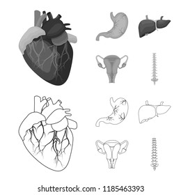 Vector illustration of body and human icon. Set of body and medical stock vector illustration.
