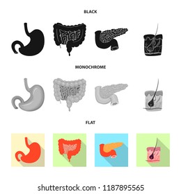 Vector illustration of body and human icon. Collection of body and medical stock vector illustration.