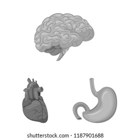 Vector illustration of body and human icon. Collection of body and medical vector icon for stock.