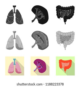 Vector illustration of body and human icon. Collection of body and medical stock vector illustration.