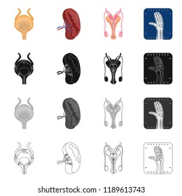 Vector illustration of body and human icon. Collection of body and medical stock vector illustration.