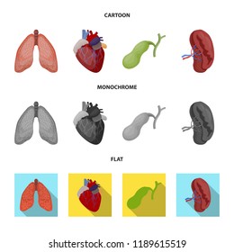 Vector illustration of body and human icon. Set of body and medical stock vector illustration.