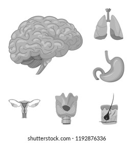 Vector illustration of body and human icon. Set of body and medical stock vector illustration.