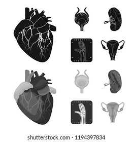 Vector illustration of body and human icon. Set of body and medical stock symbol for web.
