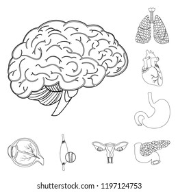 Vector illustration of body and human icon. Collection of body and medical stock vector illustration.