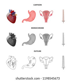 Vector illustration of body and human icon. Collection of body and medical stock vector illustration.