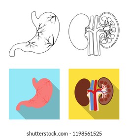 Vector illustration of body and human icon. Collection of body and medical stock vector illustration.