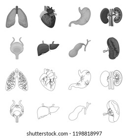 Vector illustration of body and human icon. Collection of body and medical stock symbol for web.