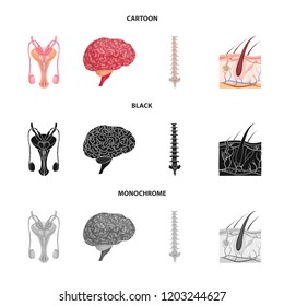 Vector illustration of body and human icon. Set of body and medical stock symbol for web.