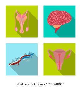 Vector illustration of body and human icon. Collection of body and medical stock symbol for web.
