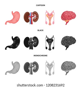 Vector illustration of body and human icon. Set of body and medical stock vector illustration.