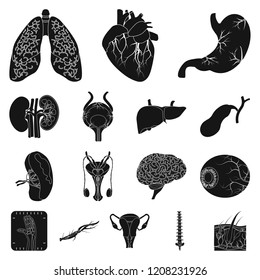 Vector illustration of body and human icon. Set of body and medical vector icon for stock.