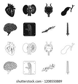 Vector illustration of body and human icon. Collection of body and medical vector icon for stock.