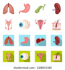 Vector illustration of body and human icon. Collection of body and medical stock symbol for web.