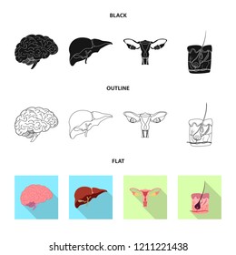 Vector illustration of body and human icon. Set of body and medical stock vector illustration.
