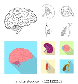 Vector illustration of body and human icon. Collection of body and medical stock symbol for web.
