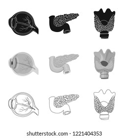 Vector illustration of body and human icon. Collection of body and medical vector icon for stock.